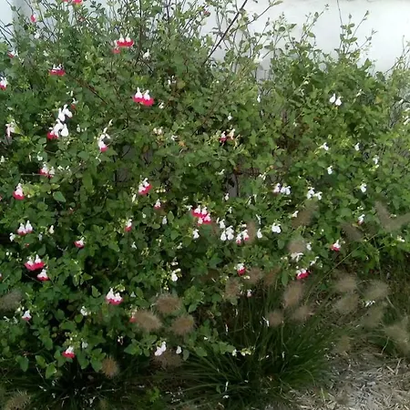 Appartement Mag's Dream